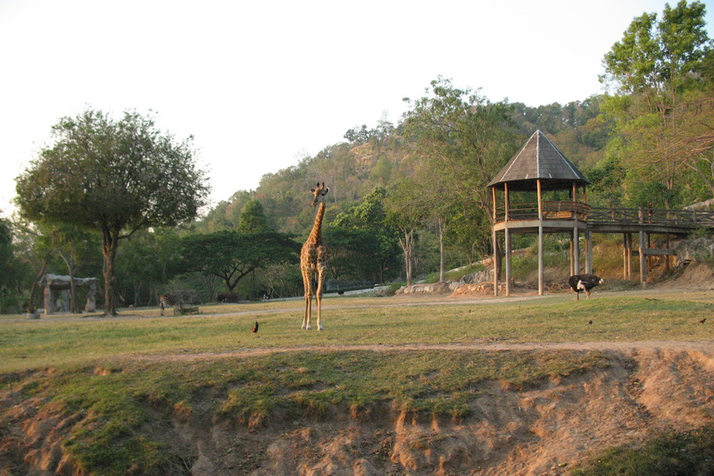 Thailand, Pattaya, Khao Kheow Open Zoo